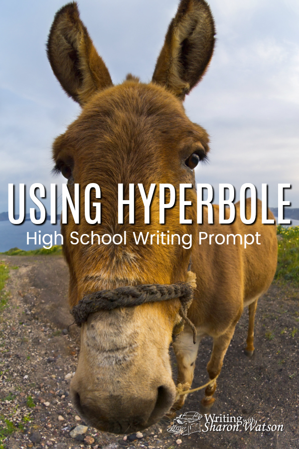 His Hands Were Bigger than Shovels: Hyperbole--High School Prompt