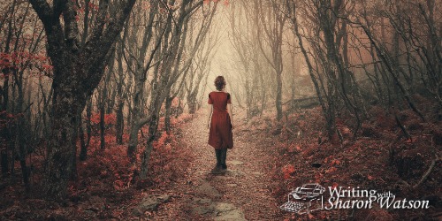 dark woods