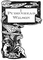 Pudd'nhead Wilson image