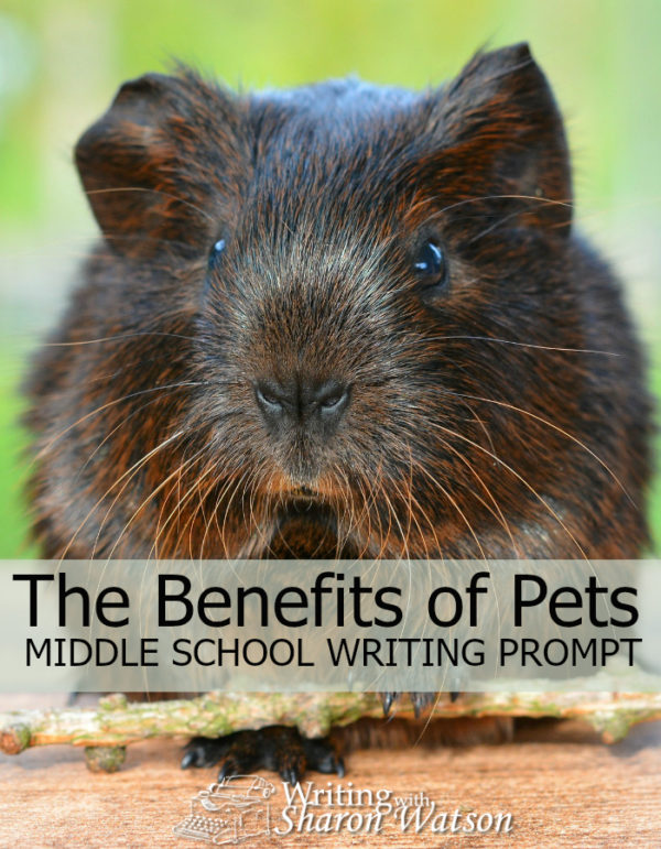 write-an-introduction-the-benefits-of-owning-a-pet-writing-with