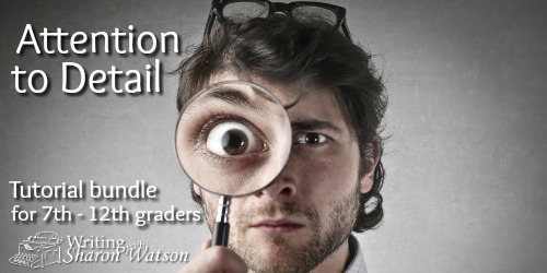Word Choices Bundle: Attention to Detail