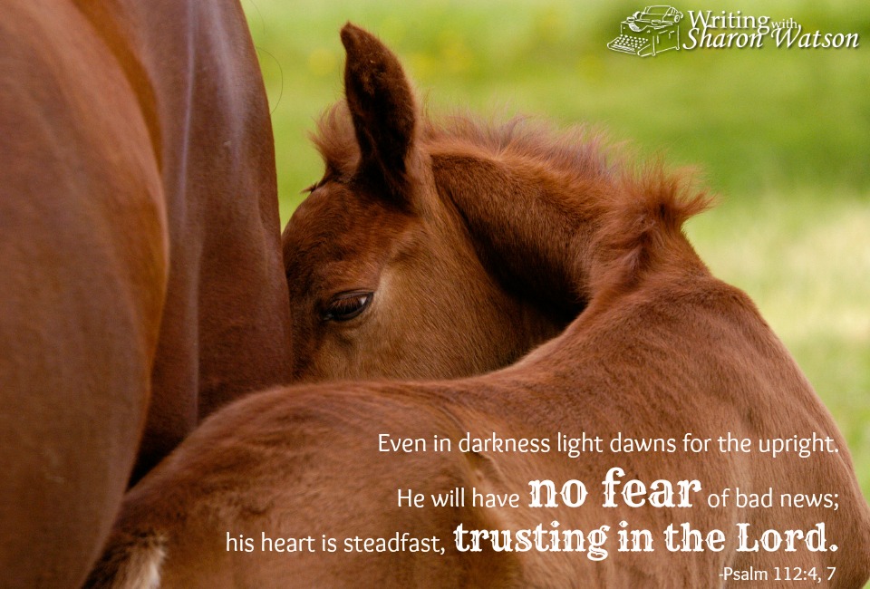 fear-not-5-fb