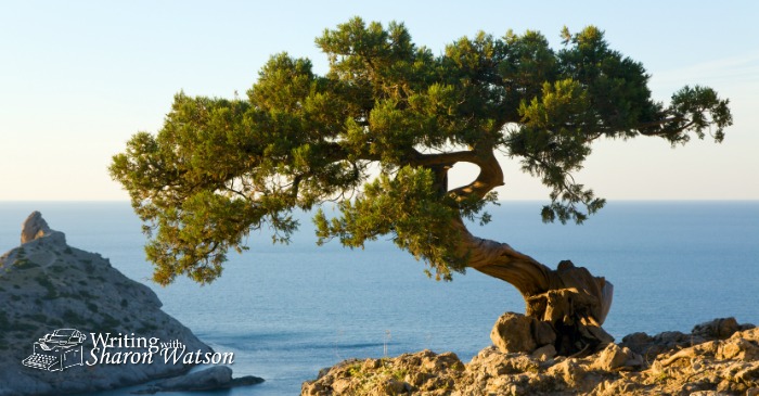 Celebrate National Poetry Month with Joyce Kilmer’s “Trees”